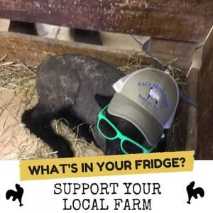 Meet your Posher, Roberta